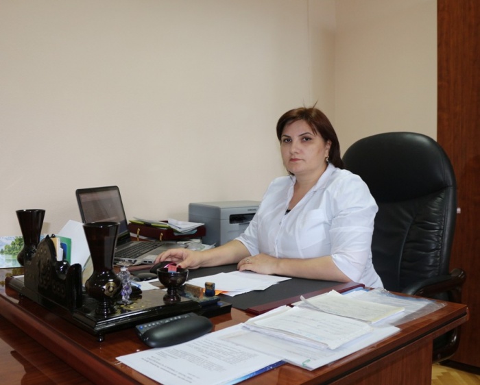 Руководство